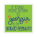 Georgia Boiled Peanuts Sticker
