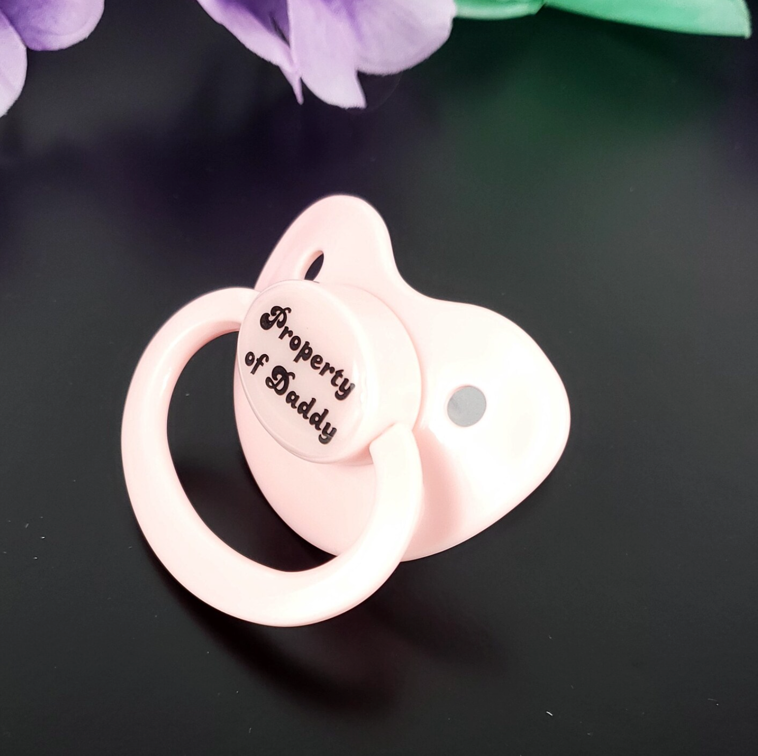 Property of Daddy Adult Pacifier
