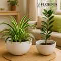 2-Piece White Plastic Planter Bowls – Modern Minimalist Design