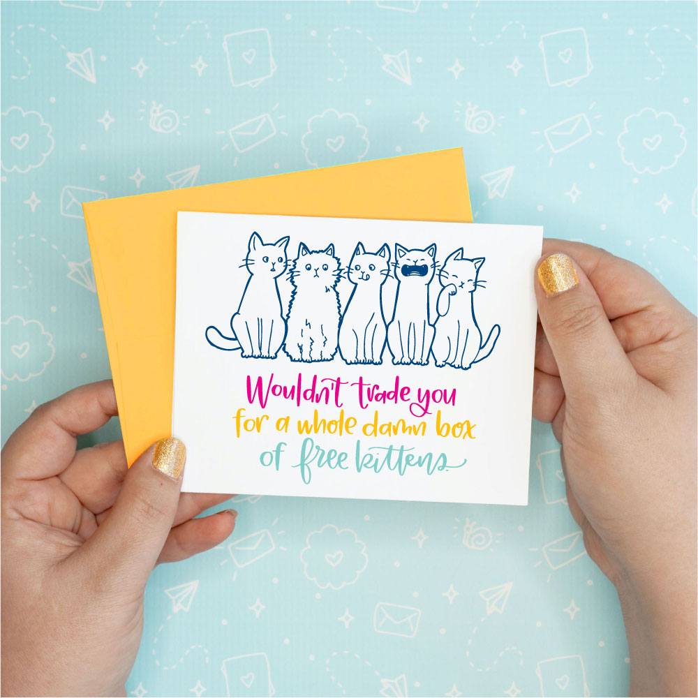 Box of Free Kittens Funny Greeting Card